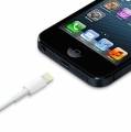 Оригинальный USB кабель Apple для iPhone, iPod и iPad с разъемом 8 pin белый - 1 метр (MD818ZM/A)